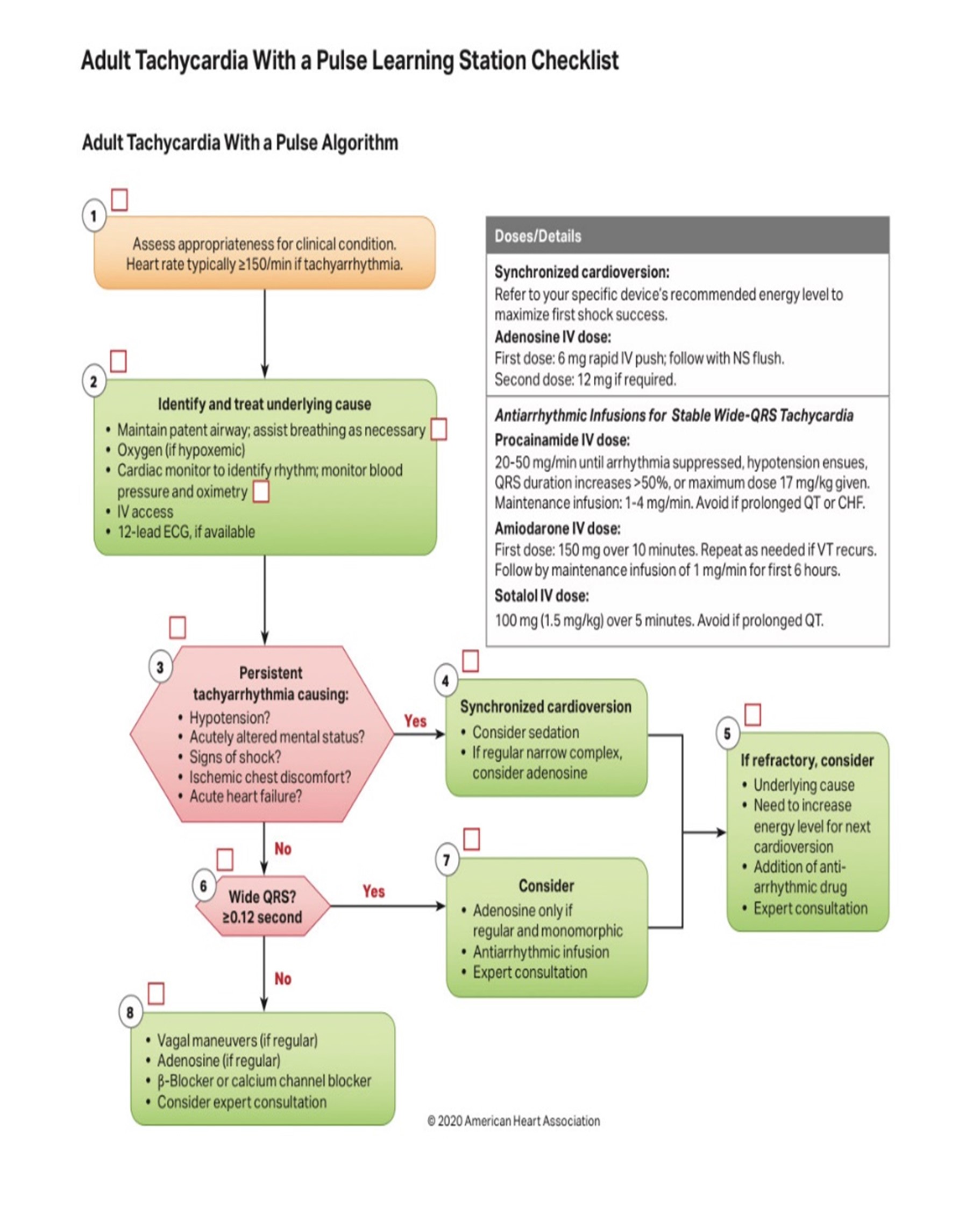 tachycardiaAdult