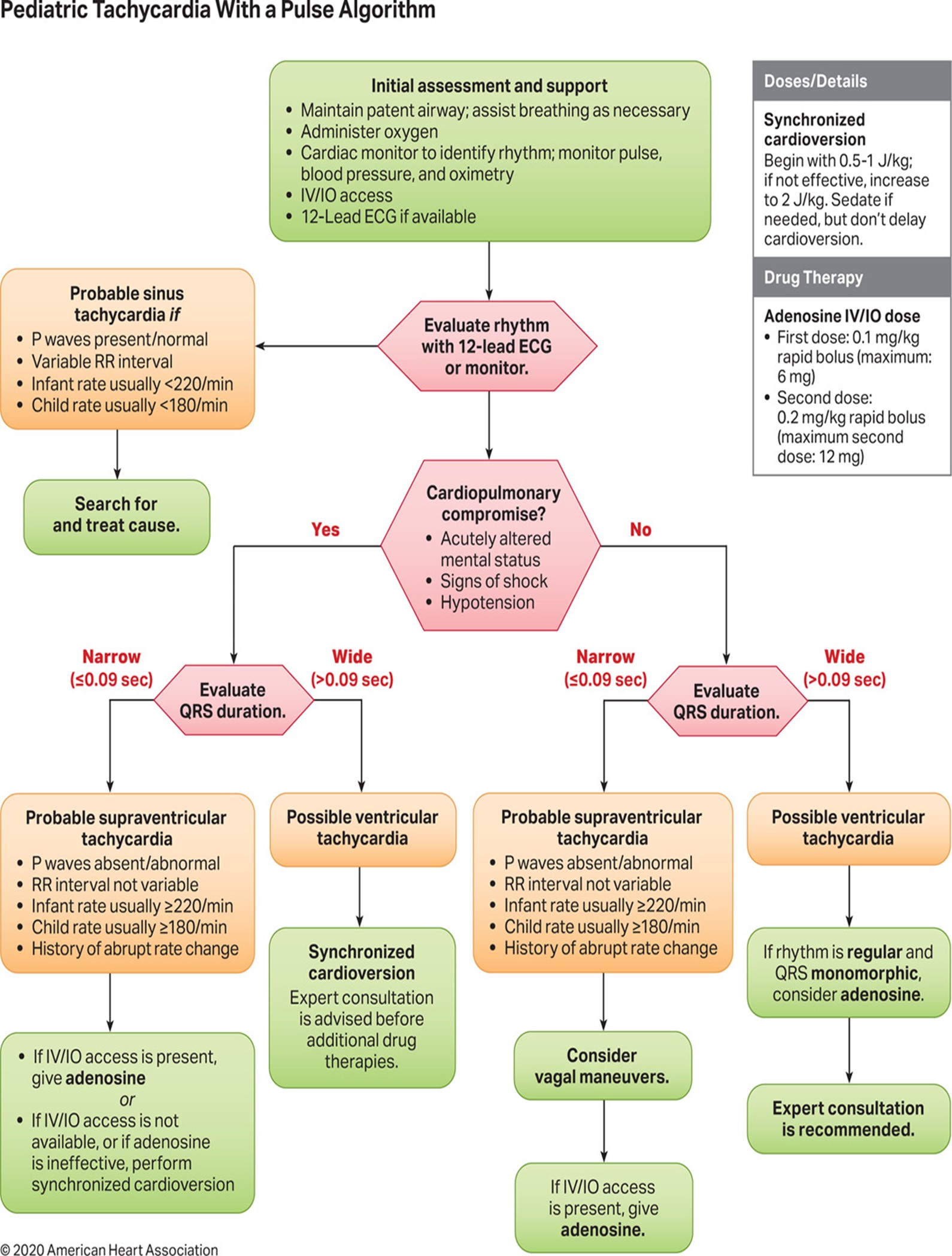 tachycardiaPediatric